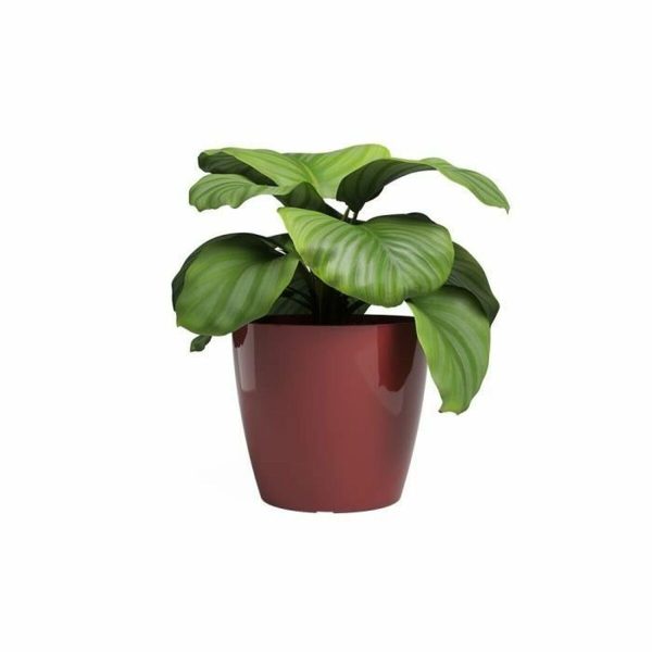 Cache-pot Artevasi SAN REMO Rouge foncé Ø 30 cm Online Sale